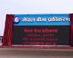 बिमा प्राधिकरण अध्यक्षका लागि दरखास्त खुल्यो, न्यूनतम योग्यता स्नातकोत्तर र पाँचवर्षे अनुभव अनिवार्य
