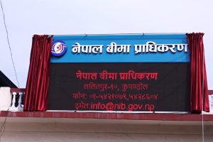 बिमा प्राधिकरण अध्यक्षका लागि दरखास्त खुल्यो, न्यूनतम योग्यता स्नातकोत्तर र पाँचवर्षे अनुभव अनिवार्य