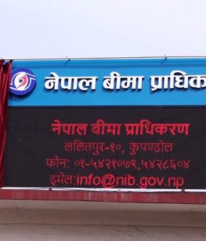 बिमा प्राधिकरण अध्यक्षका लागि दरखास्त खुल्यो, न्यूनतम योग्यता स्नातकोत्तर र पाँचवर्षे अनुभव अनिवार्य