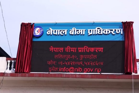 बिमा प्राधिकरण अध्यक्षका लागि दरखास्त खुल्यो, न्यूनतम योग्यता स्नातकोत्तर र पाँचवर्षे अनुभव अनिवार्य