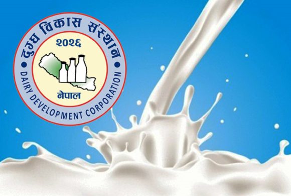 प्रधानमन्त्रीले चिज खाएर विज्ञापन गरेको डिडिसीमा सीआईबीको छापा