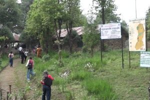 जडिबुटी संरक्षणसँगै पर्यापर्यटन प्रवर्द्धनमा जौटार सामुदायिक वन