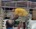 अवैध सामानसहित मिनी ट्रक नियन्त्रणमा