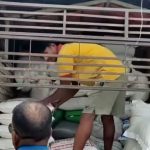 अवैध सामानसहित मिनी ट्रक नियन्त्रणमा