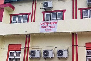 बजेटमाथिको सामान्य छलफल जारी