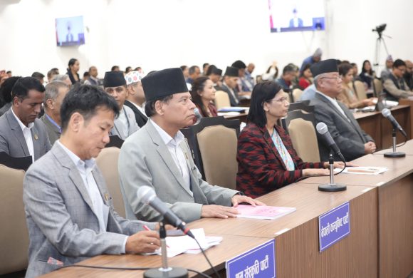 सार्वजनिक शिक्षा सुधार गर्न सांसदहरूकाे माग, बजेट बढाउन आग्रह