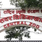 ‘बर्ड फ्लु’ सङ्क्रमण लुकाएको आरोपमा चिडियाखानाका प्रमुख साह छानबिनमा