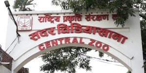 ‘बर्ड फ्लु’ सङ्क्रमण लुकाएको आरोपमा चिडियाखानाका प्रमुख साह छानबिनमा