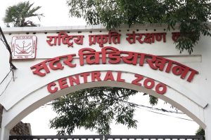 ‘बर्ड फ्लु’ सङ्क्रमण लुकाएको आरोपमा चिडियाखानाका प्रमुख साह छानबिनमा