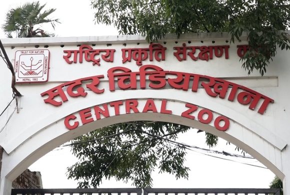 ‘बर्ड फ्लु’ सङ्क्रमण लुकाएको आरोपमा चिडियाखानाका प्रमुख साह छानबिनमा