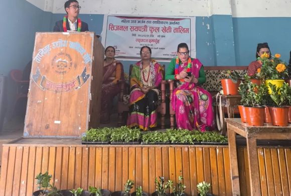 ताप्लेजुङमा महिलालाई आत्मनिर्भर बनाउन सिजनल सयपत्री फूल खेती तालिम