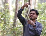 रमेश, जसले सर्पसँग बिताए आठ वर्ष, १३ सय बढी सर्पकाे उद्धार