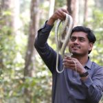 रमेश, जसले सर्पसँग बिताए आठ वर्ष, १३ सय बढी सर्पकाे उद्धार