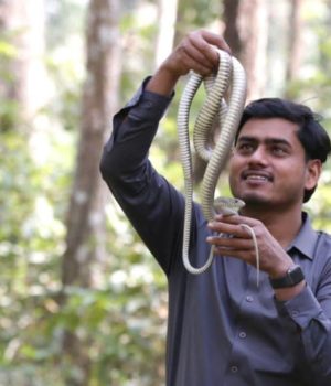रमेश, जसले सर्पसँग बिताए आठ वर्ष, १३ सय बढी सर्पकाे उद्धार