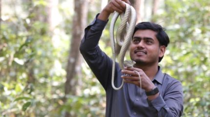 रमेश, जसले सर्पसँग बिताए आठ वर्ष, १३ सय बढी सर्पकाे उद्धार