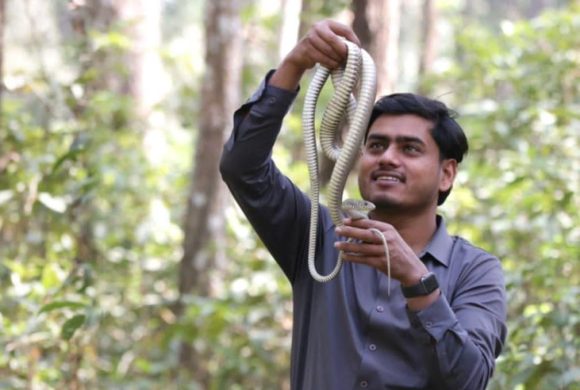 रमेश, जसले सर्पसँग बिताए आठ वर्ष, १३ सय बढी सर्पकाे उद्धार