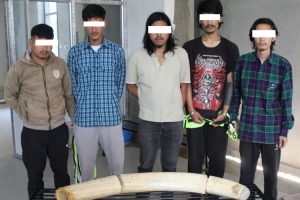 राष्ट्रपति कार्यालयबाट हात्तीका दाह्रा चोर्ने पाँच सार्वजनिक