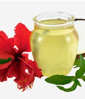 मेथी, अमला र फूलबाट बनाउनुस विशेष तेल, जसले राेक्छ कपाल झर्न