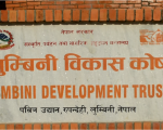 लुम्बिनी विकास कोषका १२ पदमा सात सयभन्दा बढी आवेदन