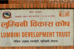 लुम्बिनी विकास कोषका १२ पदमा सात सयभन्दा बढी आवेदन
