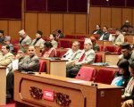 खाद्यान्नमा आत्मनिर्भर हुने नीति ल्याउन सांसदको माग