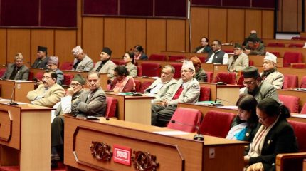 खाद्यान्नमा आत्मनिर्भर हुने नीति ल्याउन सांसदको माग