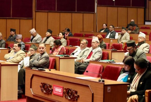 खाद्यान्नमा आत्मनिर्भर हुने नीति ल्याउन सांसदको माग