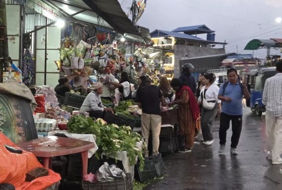 गर्मी छल्न भेडेटार आउने पर्यटकको कोसेली ‘अर्ग्यानिक तरकारी’