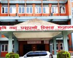 बर्डफ्लु प्रभावित किसानलाई क्षतिपूर्तिका लागि ५० करोड निकासा