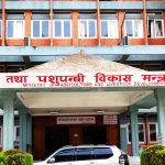 बर्डफ्लु प्रभावित किसानलाई क्षतिपूर्तिका लागि ५० करोड निकासा