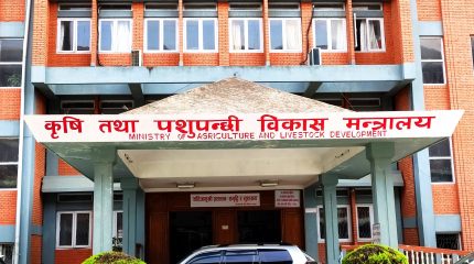 बर्डफ्लु प्रभावित किसानलाई क्षतिपूर्तिका लागि ५० करोड निकासा