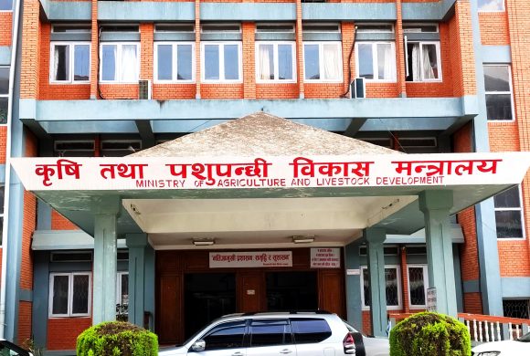 बर्डफ्लु प्रभावित किसानलाई क्षतिपूर्तिका लागि ५० करोड निकासा