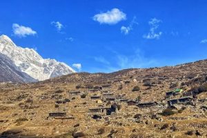 याङ्मामा फोरजी सेवा विस्तारका लागि पहल