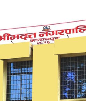 निकुञ्जभित्र च्याउ टिप्न जाँदा बेपत्ता १४ महिला सम्पर्कमा