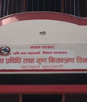 गुणस्तरहीन खाद्यान्न उत्पादन र बिक्री गर्ने ६२ उद्योगी व्यापारीविरुद्ध मुद्दा दायर