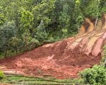 नुवाकोटमा रोपाईं गर्दागर्दैको खेत बगायो, ६ जना घाइते