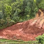 नुवाकोटमा रोपाईं गर्दागर्दैको खेत बगायो, ६ जना घाइते