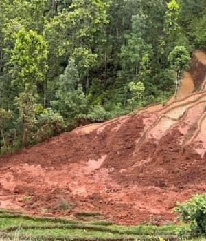 नुवाकोटमा रोपाईं गर्दागर्दैको खेत बगायो, ६ जना घाइते