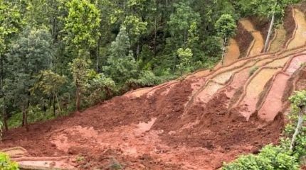नुवाकोटमा रोपाईं गर्दागर्दैको खेत बगायो, ६ जना घाइते
