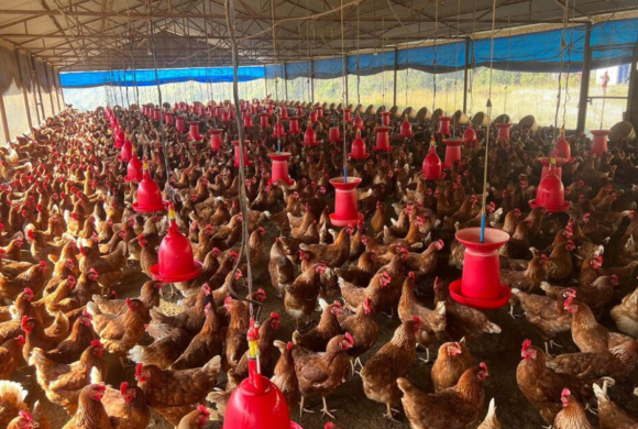 एकसाताभित्र किसानलाई करिब ५२ करोड राहत उपलब्ध गराइने
