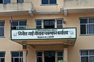 महोत्तरीमा नगर प्रहरी विवाद : महिला प्रमुखमाथि हातपातपछि ८ जनाविरुद्ध मुद्दा