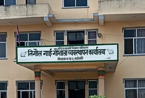 महोत्तरीमा नगर प्रहरी विवाद : महिला प्रमुखमाथि हातपातपछि ८ जनाविरुद्ध मुद्दा