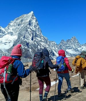 जुनमा पर्यटक आगमन गत वर्षको तुलनामा १९.५ प्रतिशत वृद्धि