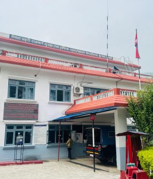 लुम्बिनी अपडेट : ३ सय ७१ सवारीसाधन कारबाहीमा, ४ लाखभन्दा बढी राजस्व संकलन