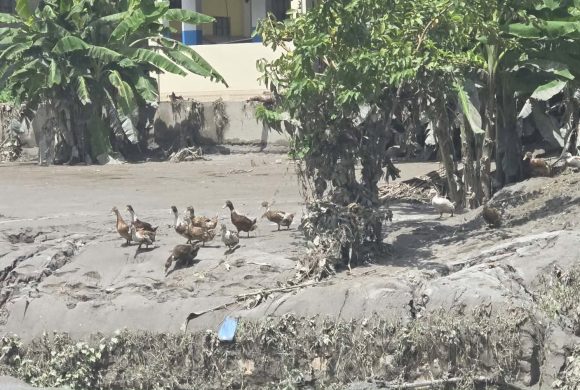 भोटेकोशी बाढी : चार सय ८९ को शव फेला, २८ प्रहरी सम्पर्कविहीन
