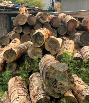 सामुदायिक वनबाट सत्र करोड आम्दानी