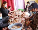पाथीभराबाट तीन लाख १८ हजार भेटी सङ्कलन