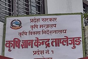 कृषि ज्ञान केन्द्र ताप्लेजुङ्ग को आर्थिक बर्ष २०८२/८३ भौतिक प्रगति ७०.२२ प्रतिशत