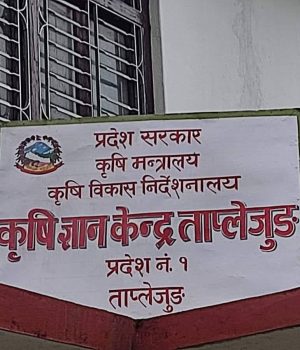 कृषि ज्ञान केन्द्र ताप्लेजुङ्ग को आर्थिक बर्ष २०८२/८३ भौतिक प्रगति ७०.२२ प्रतिशत