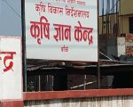 भारतीय सागसब्जीमा कडाइ, बाँकेका किसानका उत्पादनले पायो बजार